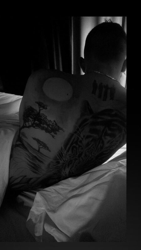 Michaelgallone  Gigolo Accompagnatore varese